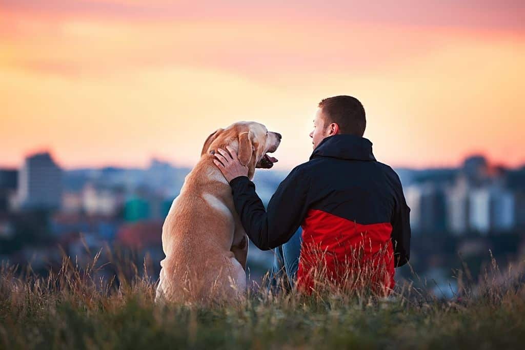 New Jersey Town Hall - Animal Legal Defense Fund