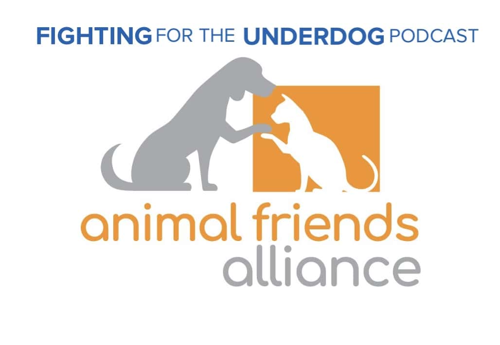 Fighting for the Underdog: Animal Friends Alliance