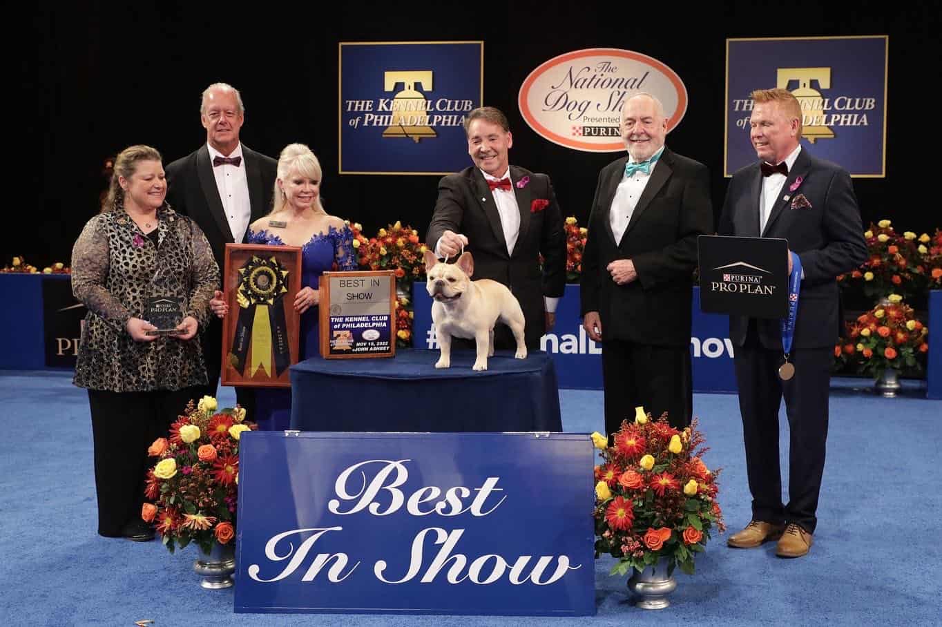 National Dog Show Winners!