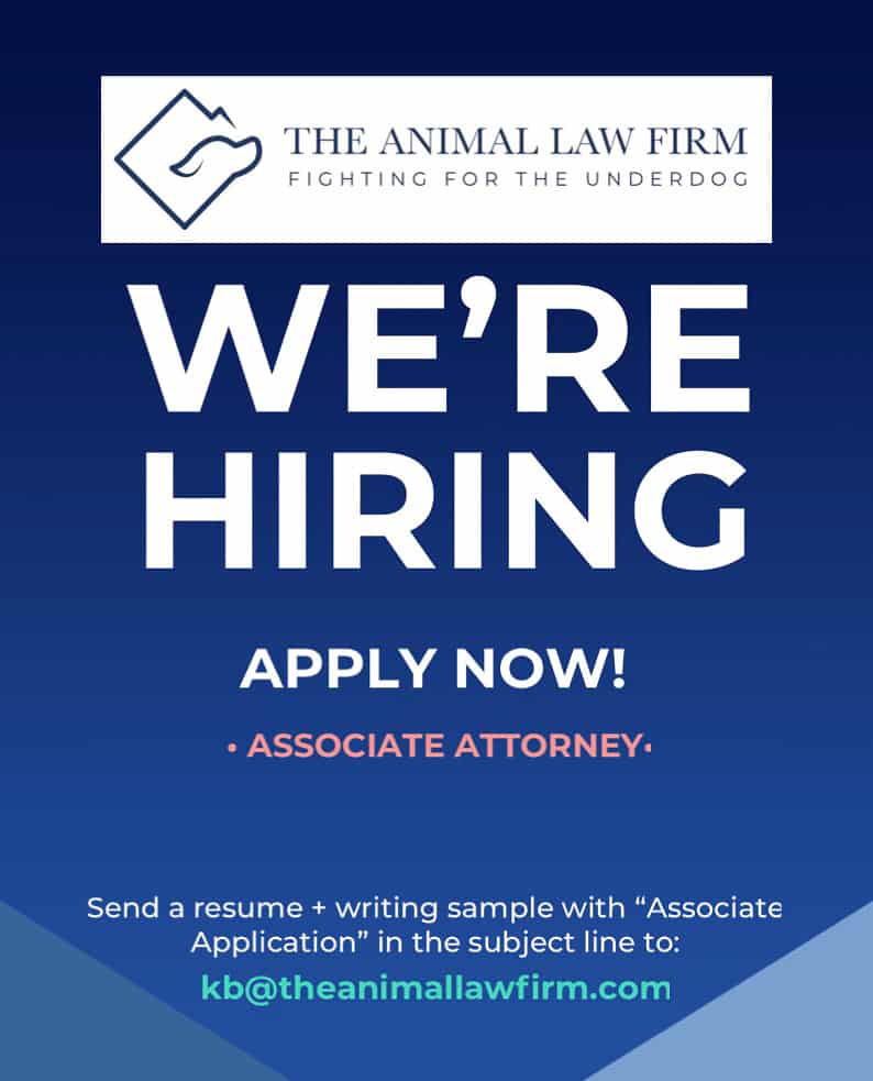 The Animal Law Firm is HIRING!