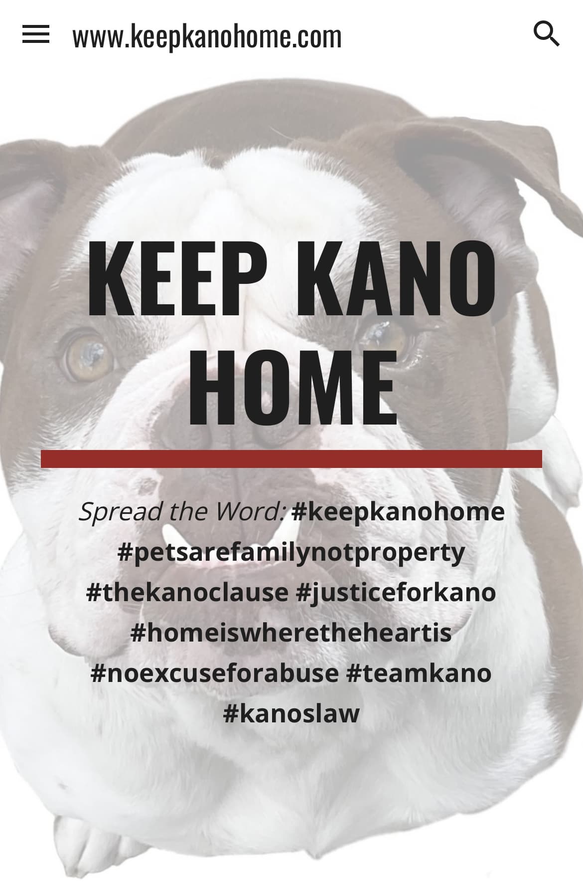 Fighting for the Underdog: Keep Kano Home