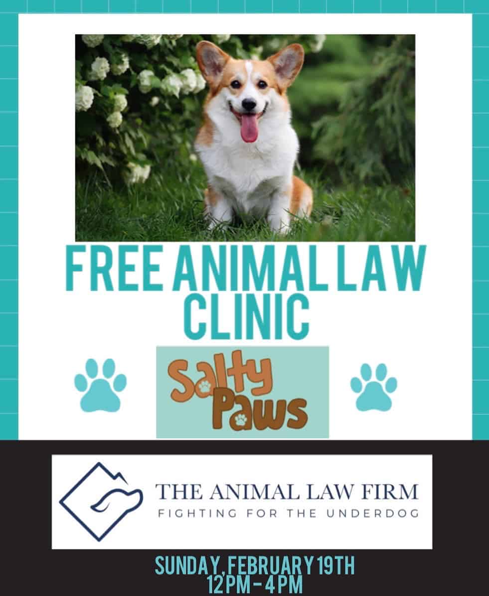 FREE Animal Law Clinic!