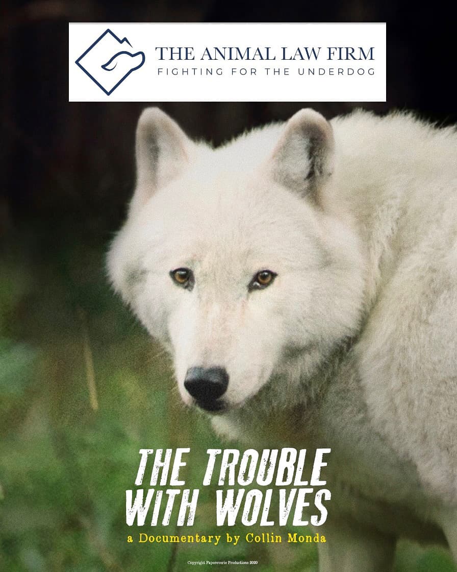Fighting for the Underdog: The Trouble with Wolves