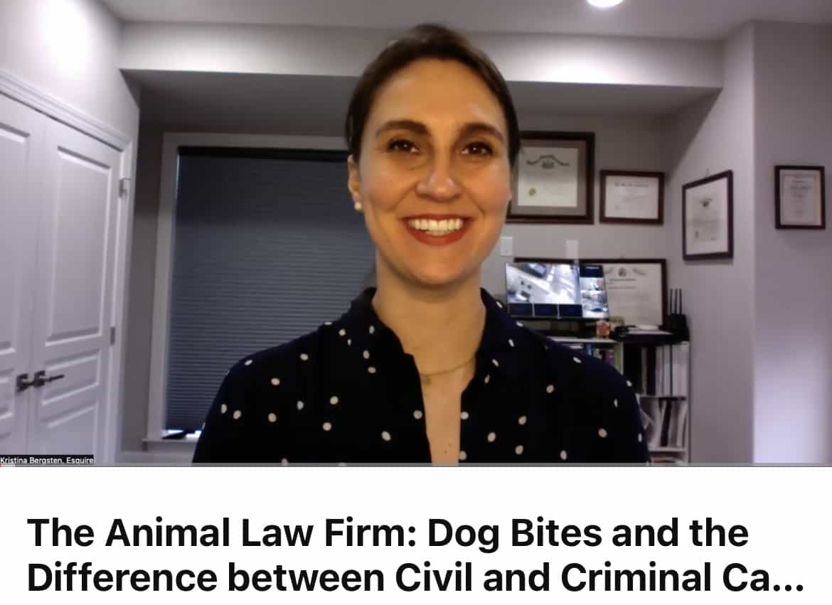 ALF Answers: “Who is responsible in a dog bite defense case?”