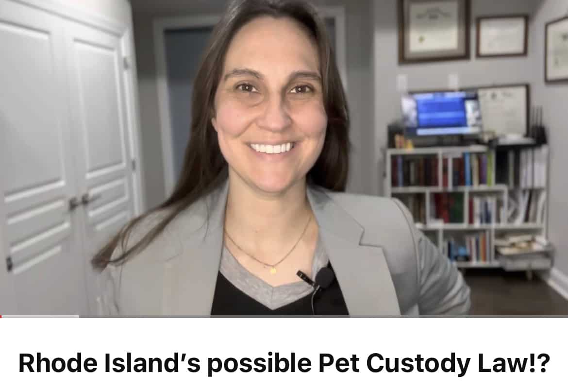 Rhode Island’s Potential Pet Custody Law?!
