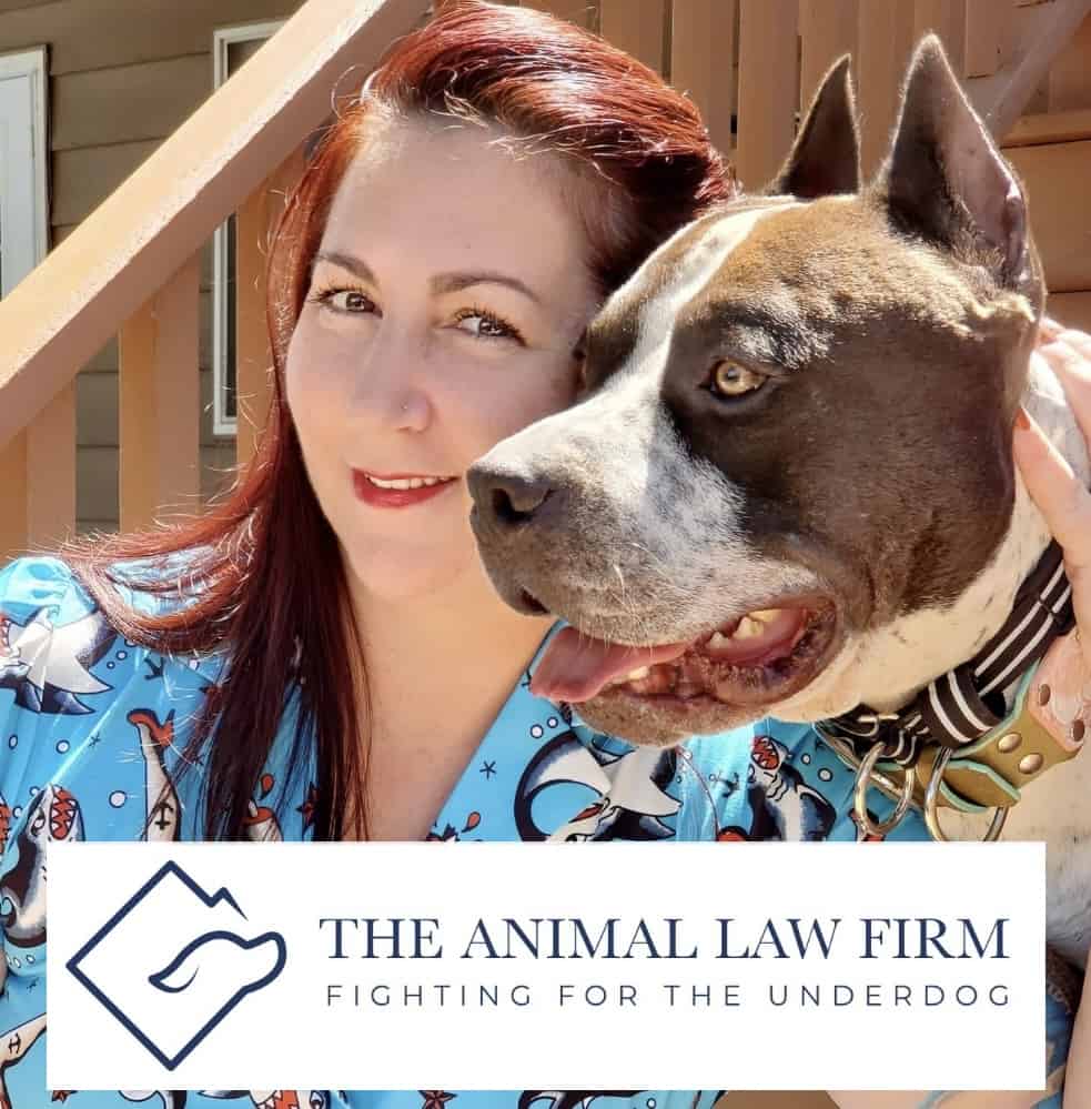Fighting for the Underdog: Mary Alverson