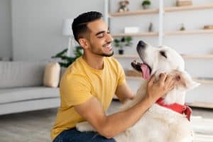 Pet Custody