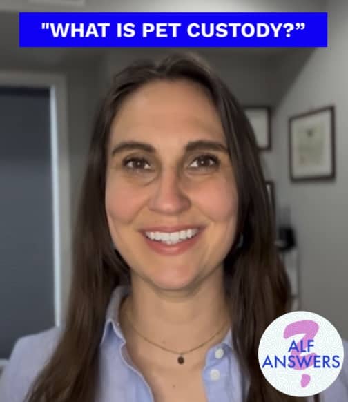 ALF Answers: “What is Pet Custody?”