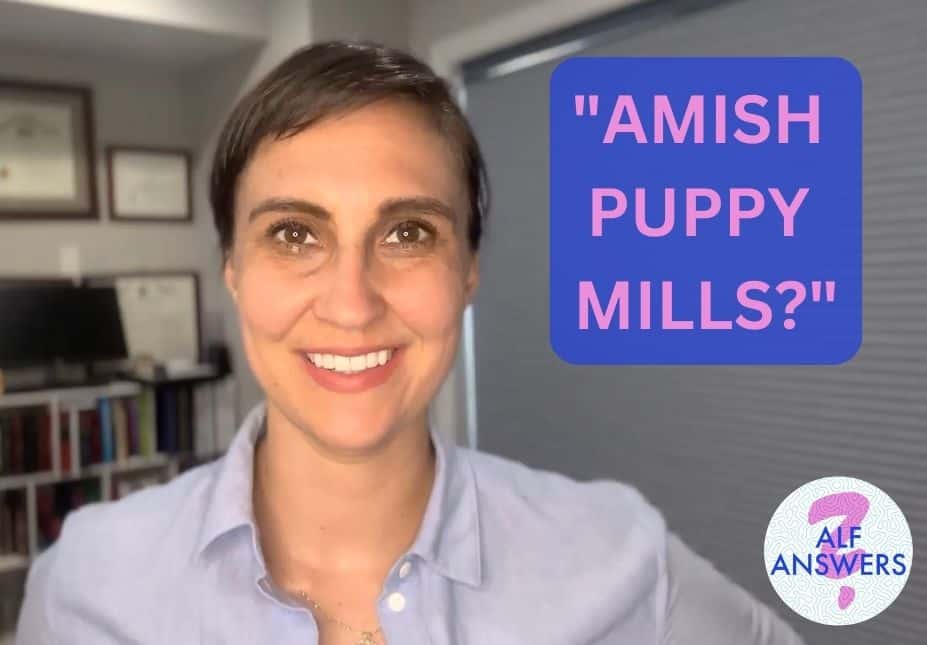 ALF Answers: “Amish Puppy Mills?”