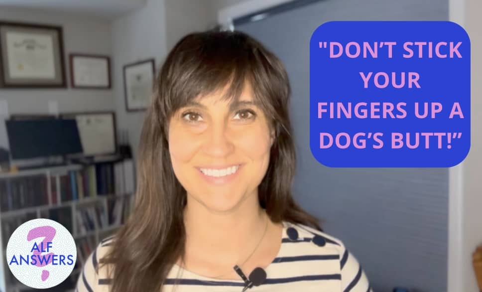 ALF Answers: “Don’t Stick Your Fingers Up a Dog’s Butt!”