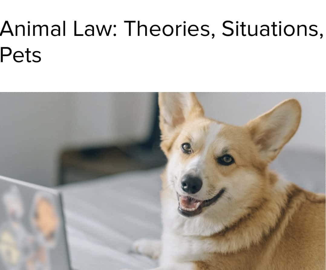 TRT CLE: “Animal Law: Theories, Situations, Pets”