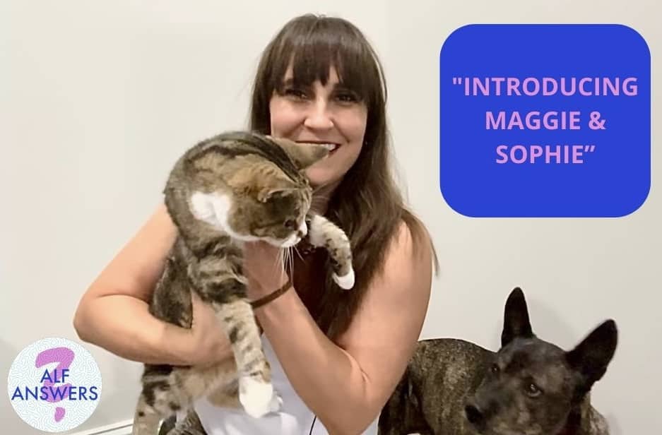 ALF Answers: “Introducing Maggie & Sophie”