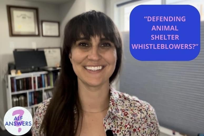 ALF Answers: “Defending Animal Shelter Whistleblowers?”