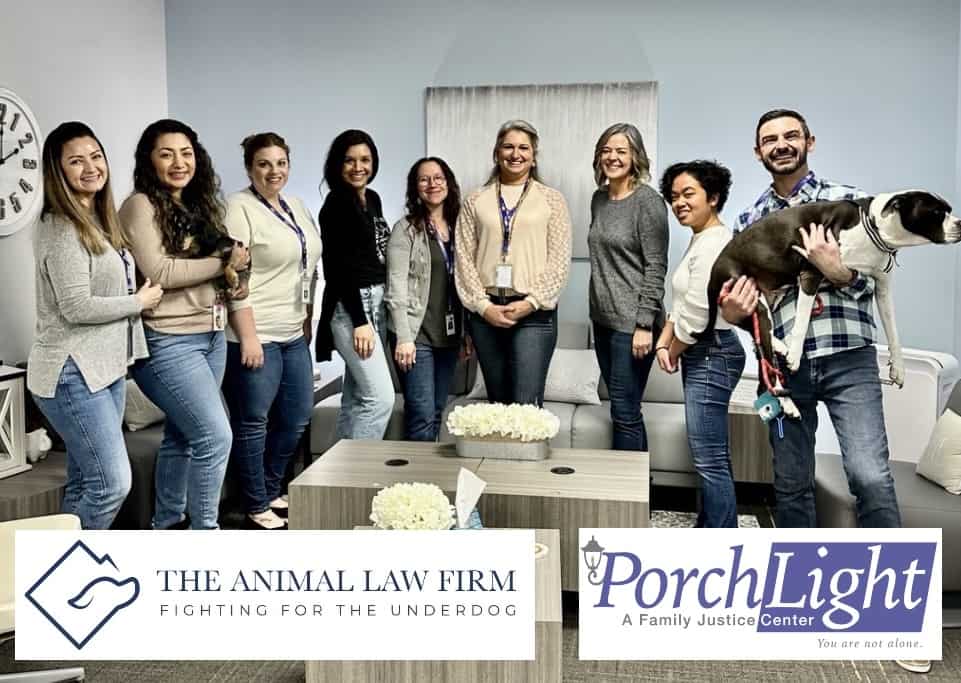 Fighting for the Underdog: PorchLight Family Justice Center