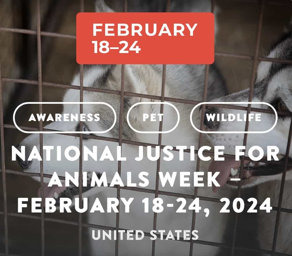 National Justice for Animals Week