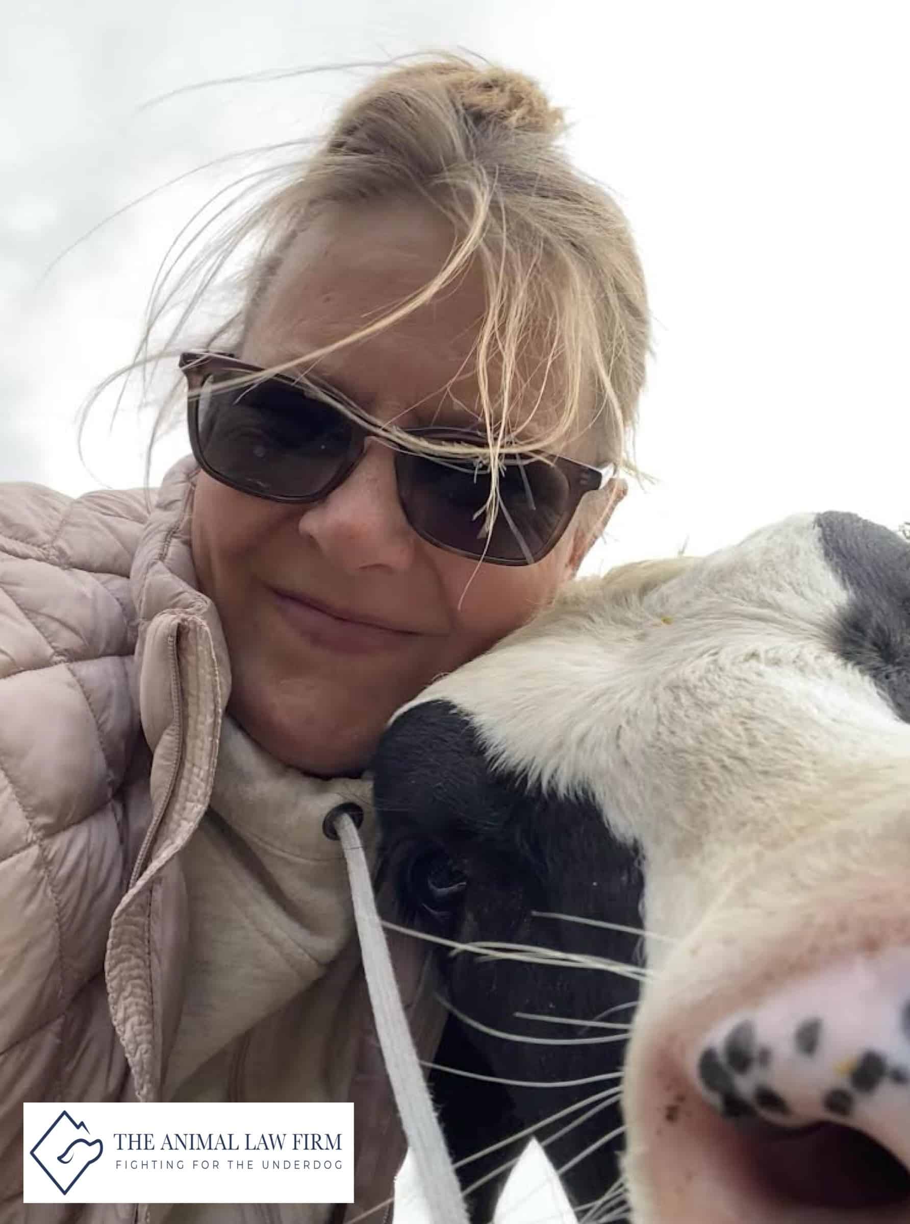 Fighting for the Underdog: Tennessee Cow Rescue