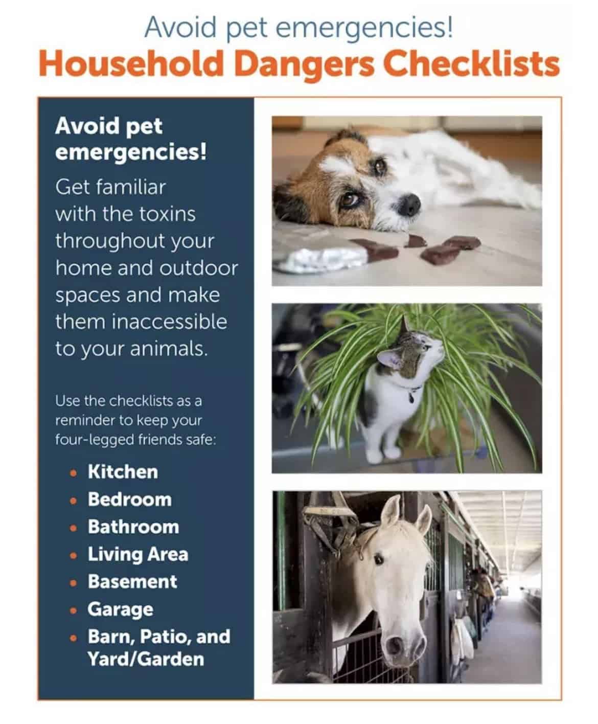 Pet Poison Prevention Month!
