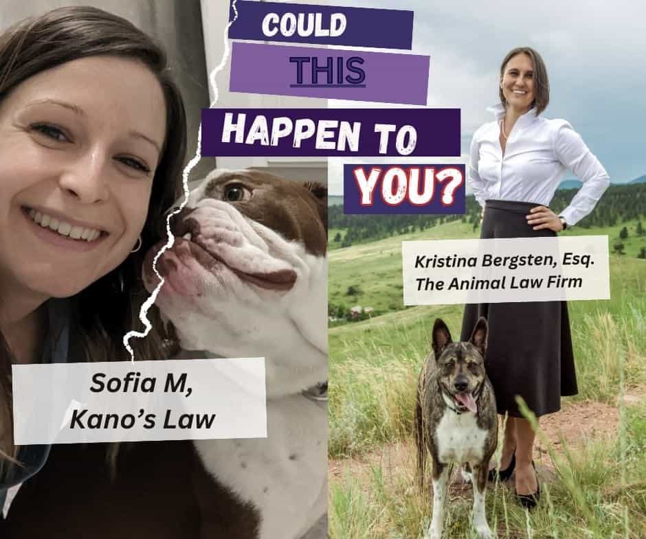 The Animal Intuitive: Kano’s Law