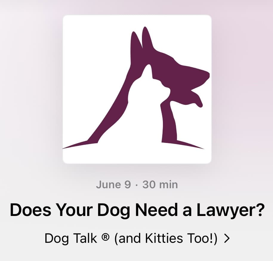 DOG TALK® (and Kitties, Too!)