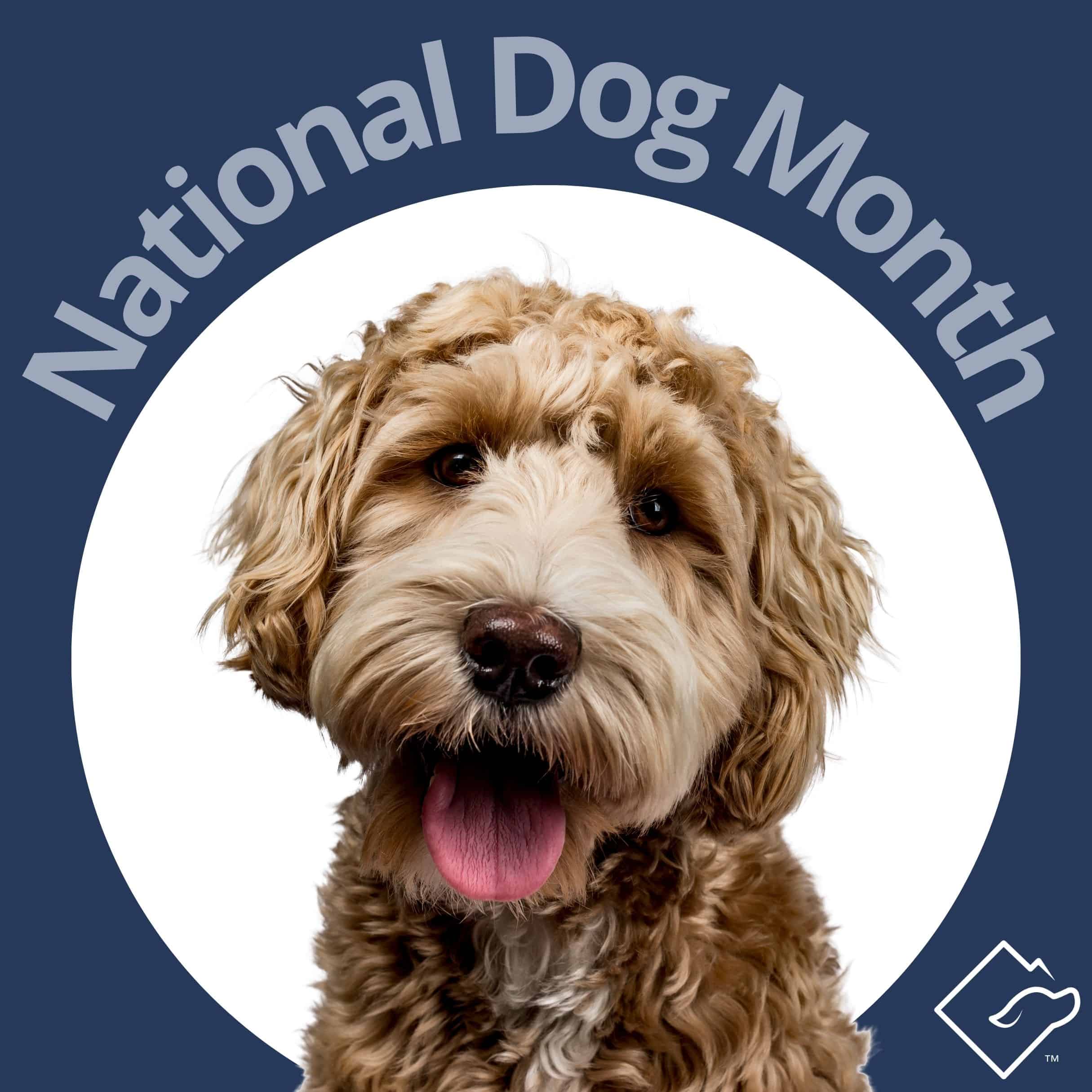 National Dog Month